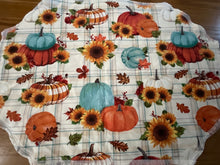 Load image into Gallery viewer, Pumpkins in Plaid Placemat Set
