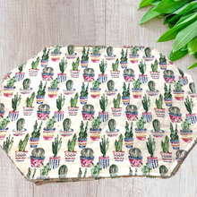 Load image into Gallery viewer, Pots of Cactus Placemat Sets
